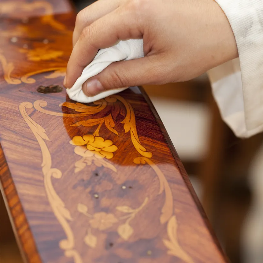French polishing technique